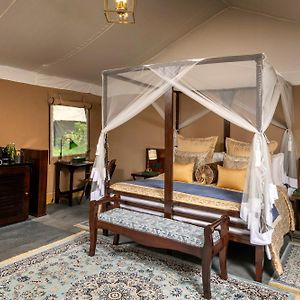 Luxury Tent King Bed